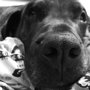 Meet your Posher, Nina